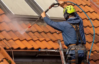 Démoussage et hydrofuge de toiture à Lusanger